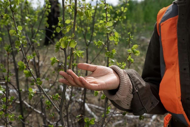 Jak zalesianie może pomóc w walce ze zmianami klimatycznymi?